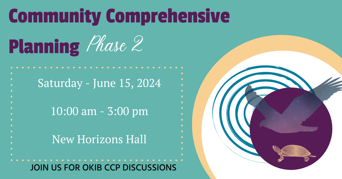New Horizons Comprehensive Community Planning Phase 2 Engagement session