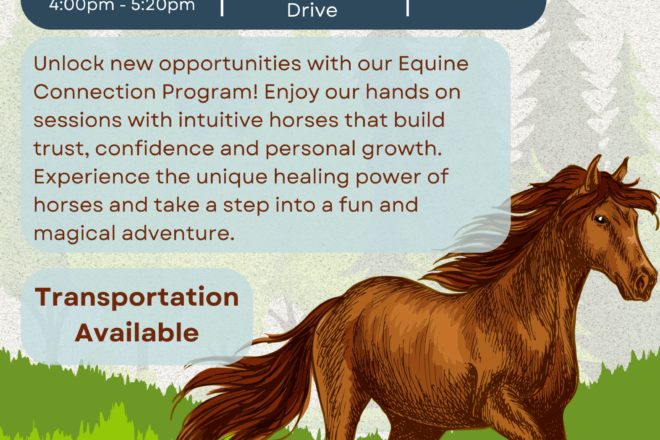 Equine Pathways program