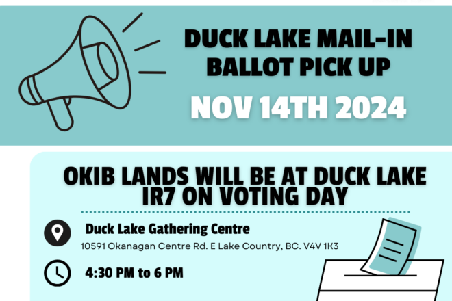 Duck Lake Mail in ballot pick up – 99 Year term lease referendum