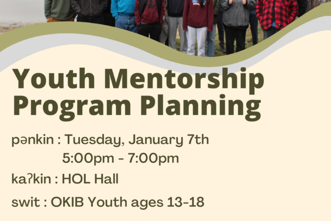 Youth Mentorship Program Planning